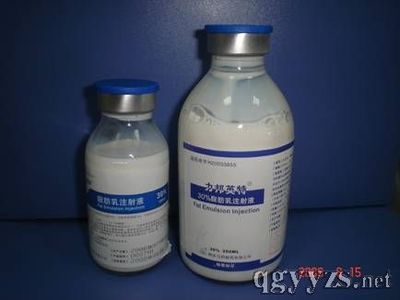 医药招商产品 机遇与策略的深度解析