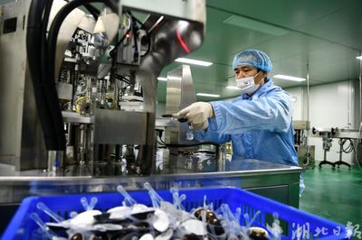 通城 中药材深加工忙 医药产业展新篇